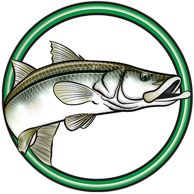 Senior Saltwater Angler